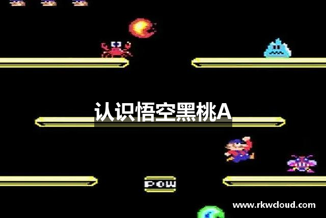 认识悟空黑桃A
